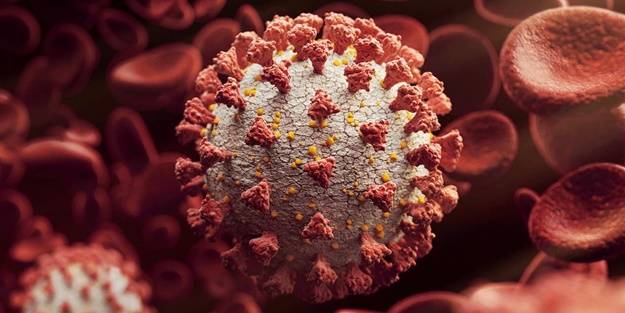 Omicron varyantı ABD'ye sıçradı!