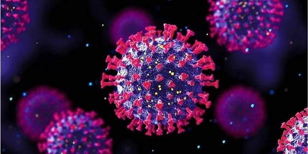 Omicron varyantı bir ülkeye daha sıçradı