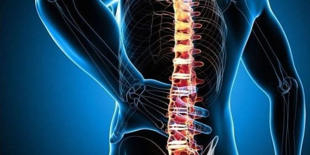 Omurilik soğanı nedir? Omurilik soğanının görevi nedir?