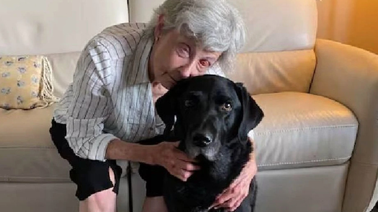 On yıldır görmüyordu, dişi sayesinde yeniden görmeye başladı!