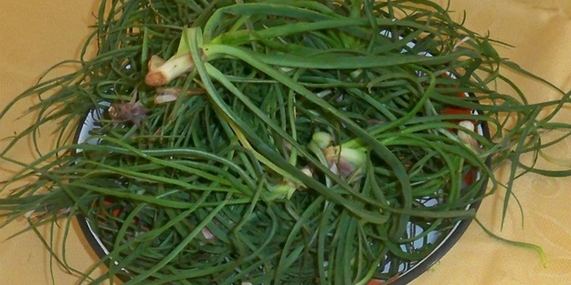 Ona ‘ot’ deyip geçme hamilelere çok yararlı