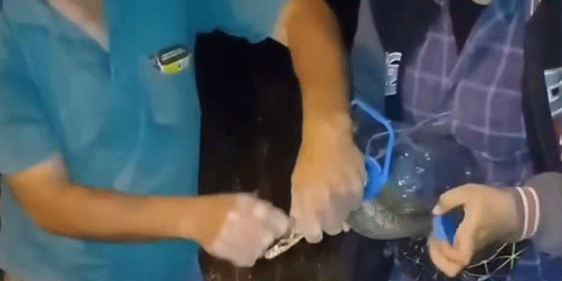 Önce eliyle yakaladı sonra da… Cesareti herkesi şaşkına çevirdi