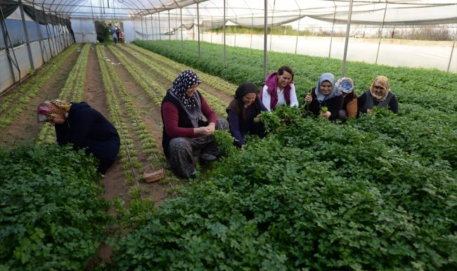 Önce tarlaya sonra spora