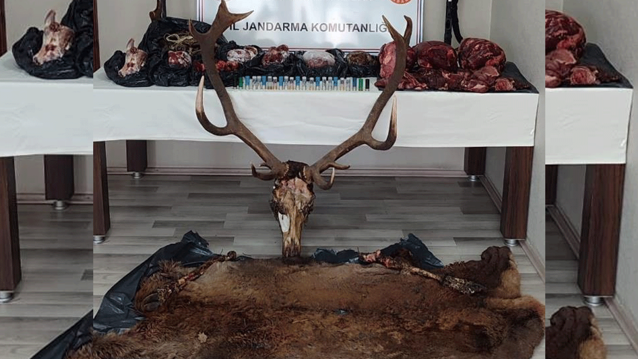 Önce vurdular sonra sucuk yaptılar! Geyik cellatları cezasını buldu