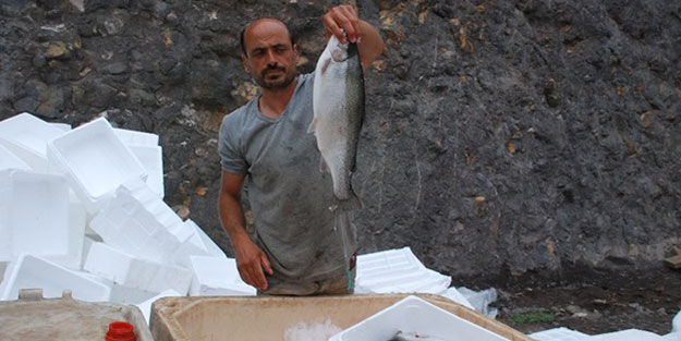 Önceden çalışandı, şimdi Japonya'ya ihraç ediyor