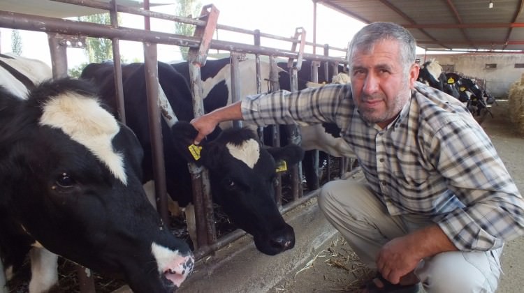 Önemli uyarı! Kurban alırken dolandırılmayın