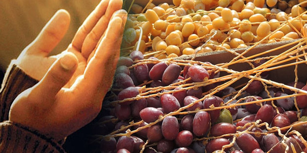 Onlar sıradan besinler değil! İşte Kuran'da adı geçen şifalı yiyecekler