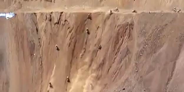 Onlarca motosiklet böyle şov yaptı