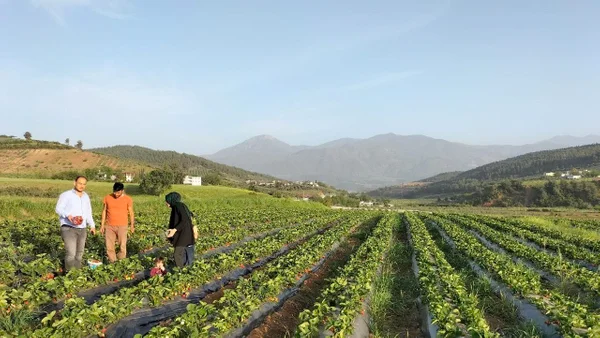 Onu üretmeye meraktan başladılar, şimdi köşe oldular