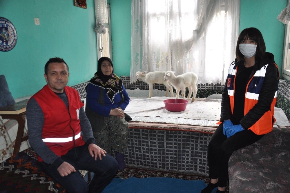 Onun derdi kuzuları 