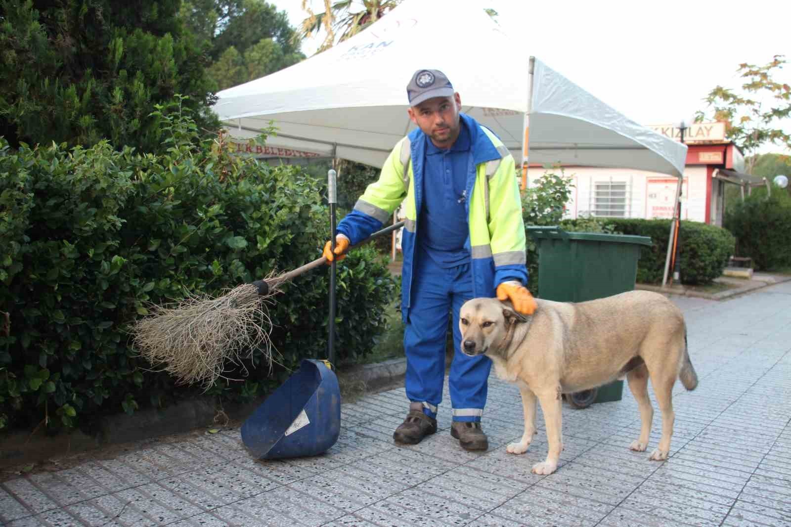 Onun mesai arkadaşları insanlar değil! Görenlerin içini ısıtan görüntü