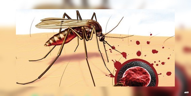 Onyekuru'da teşhis edilen 