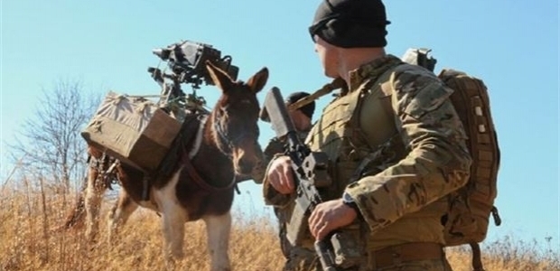 Orduya katır desteği