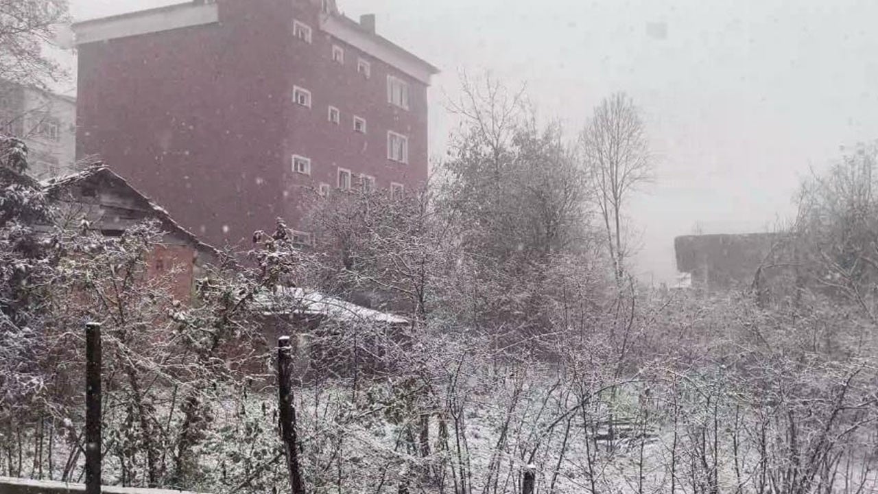 Ordu beyaza büründü