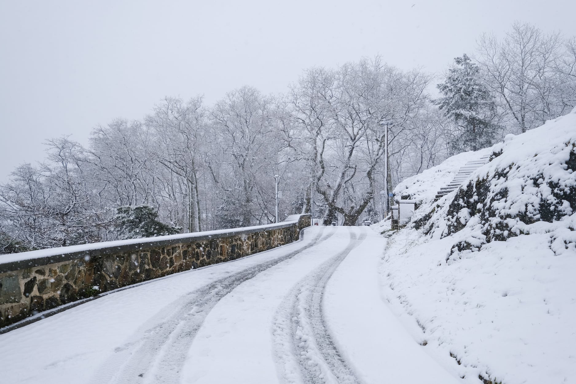 Giresun'da kar yağışı ulaşım ve enerji hizmetlerinde aksamalara yol açtı