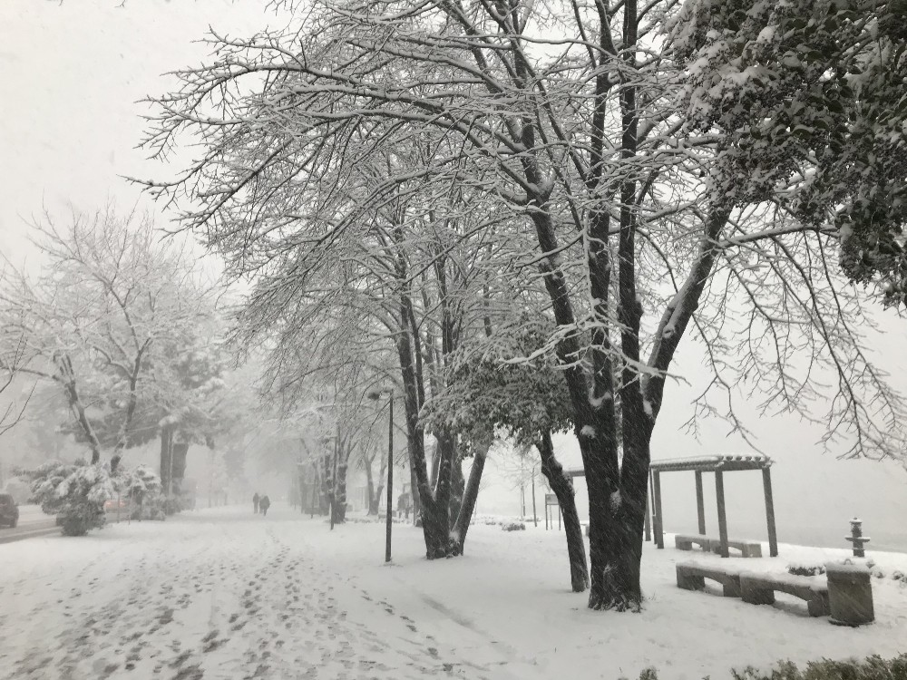 Ordu kar altında 