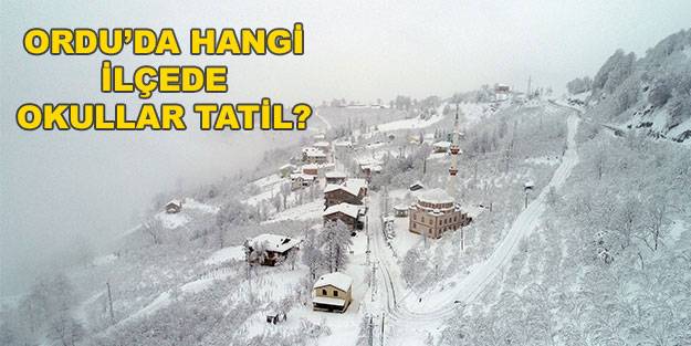 Ordu okul kar tatili haberi: Akkuş, Aybastı, Çamaş, Çatalpınar, Gölköy, Gülyalı, Gürgentepe,, Kabadüz, Kabataş, Korgan, Mesudiye, Ulubey okullar tatil mi?