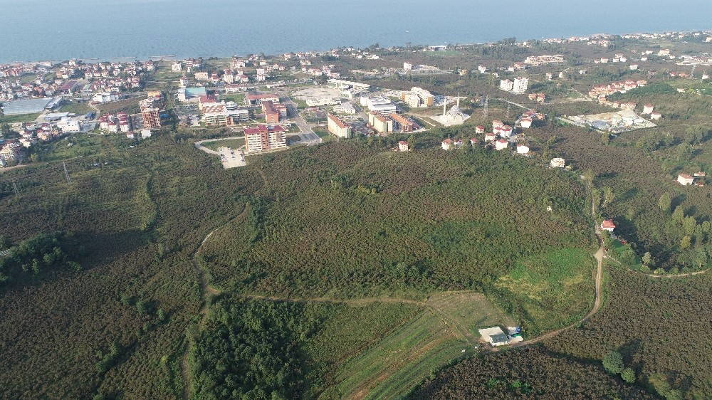 Ordu Şehir Hastanesi arazisine inceleme 