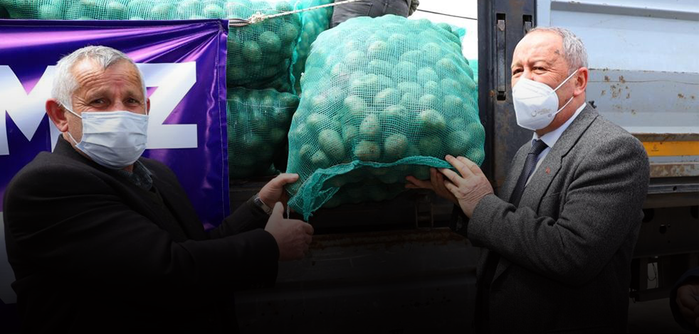 Ordu’da 100 ton patates toprakla buluşacak