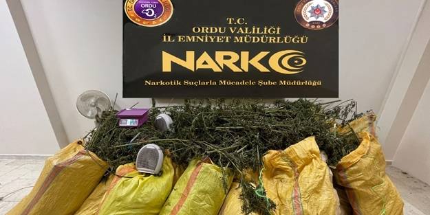 Ordu'da 150 kilogram esrar ele geçirildi
