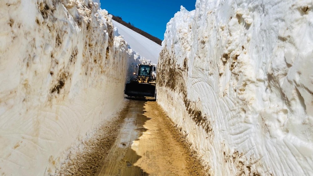 Ordu’da 2 bin rakımlı yaylada kar mücadelesi 