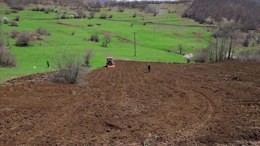 Ordu’da 3 yılda 17 bin 500 dönüm arazi tarıma kazandırıldı
