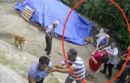 Ordu’da arazi kavgası: 5 yaralı 