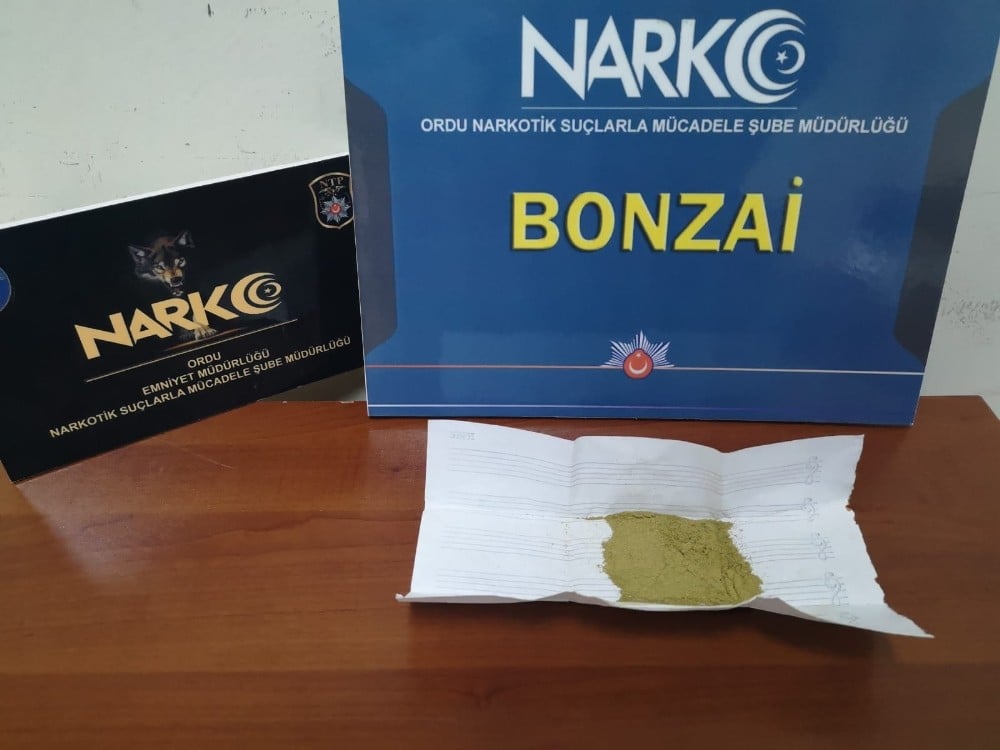 Ordu’da bir araçta bonzai ele geçirildi 