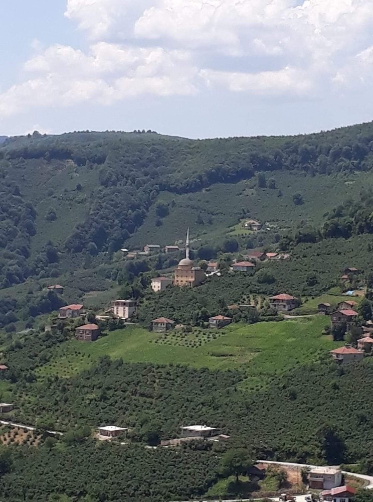 Ordu’da bir mahalle karantinaya alındı 