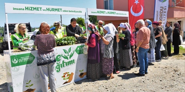 Ordu'da çiftçiye fide desteği