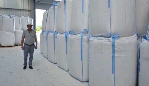 Ordu'da çıkarılıyor dünyaya ihraç ediliyor!