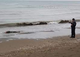 Ordu’da denizde erkek cesedi bulundu