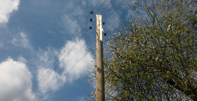 Ordu'da elektrik direğine yıldırım düştü