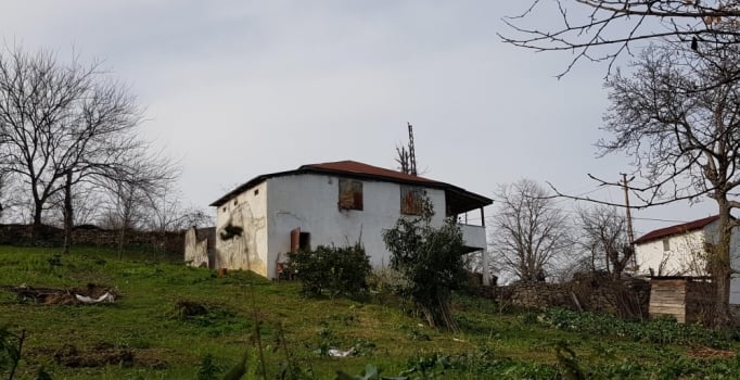 Ordu'da eşini başına odunla vurarak öldüren kadın ve oğlu tutuklandı