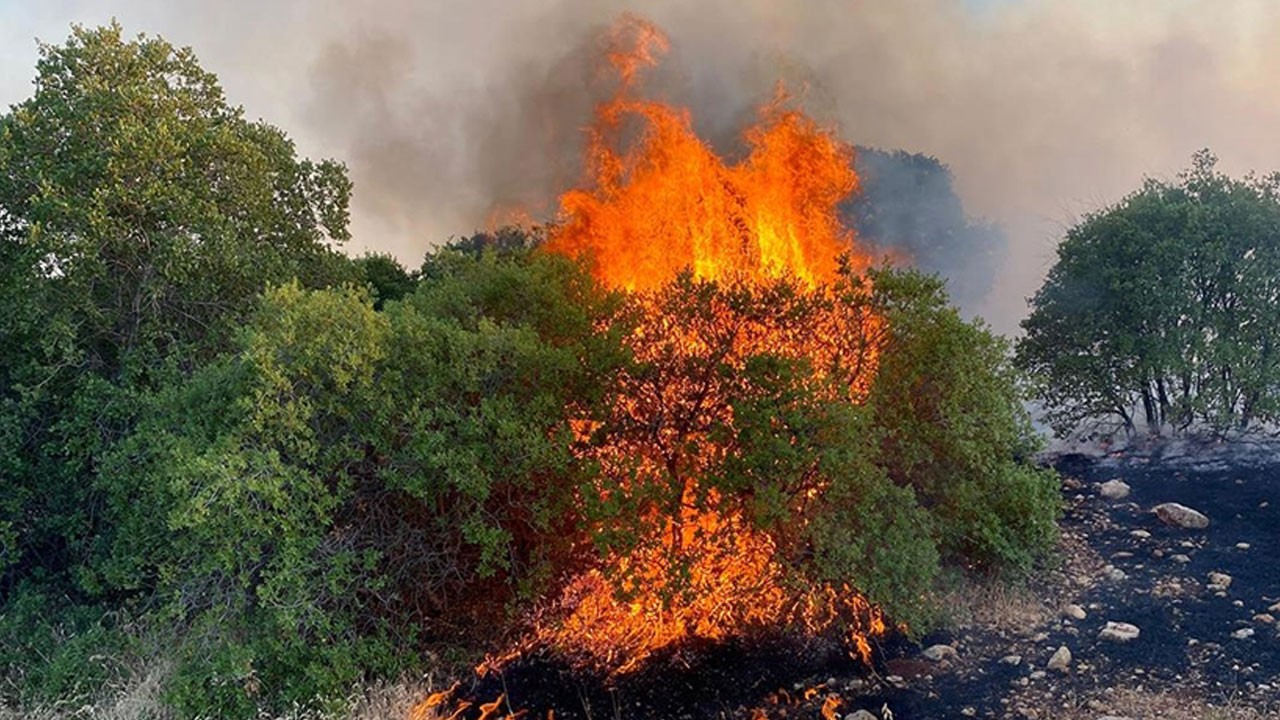 Ordu'da feci olay! 52 yaşındaki adam ateşin içine düştü
