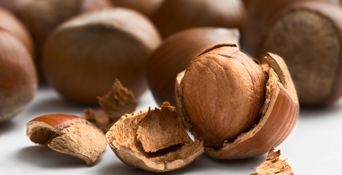 Ordu'da fındık fiyatı düşüşe devam ediyor