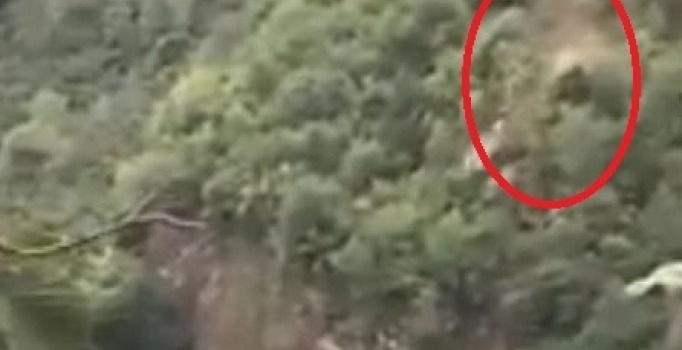 Ordu'da hafif ticari araç uçurumdan yuvarlandı: 3 yaralı