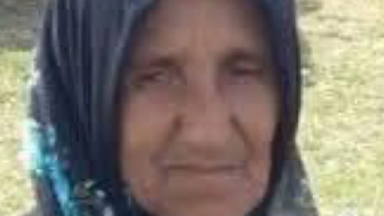 Ordu'da hafriyat kamyonunun çarptığı kadın hayatını kaybetti