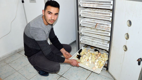 Ordu'da hobi için başladı, şimdi ihracatını yapıyor