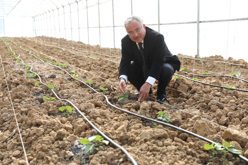 Ordu’da ilçeler üretim merkezi oldu 