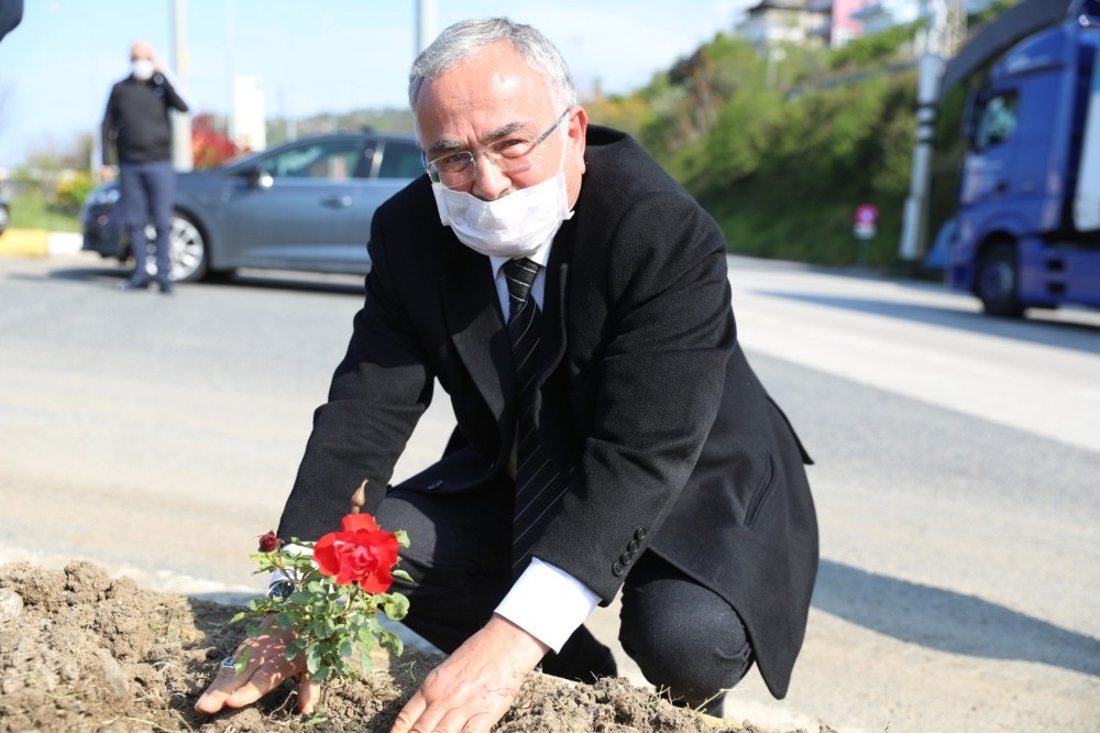 Ordu’da isme göre fidan dikiliyor 