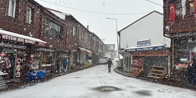 Ordu'da kar yağışı