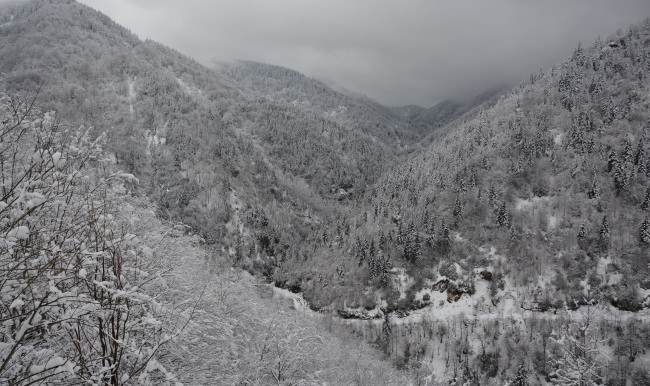 Ordu'da Kar Yağışı Sonrası Kartpostallık Görüntüler