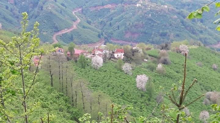 Ordu’da karantinaya alınan mahalle sayısı 3’e yükseldi 