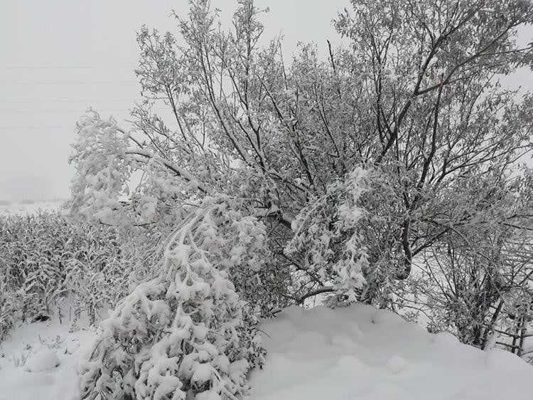 Ordu’da Nisan ayı ortasında kar yağışı 