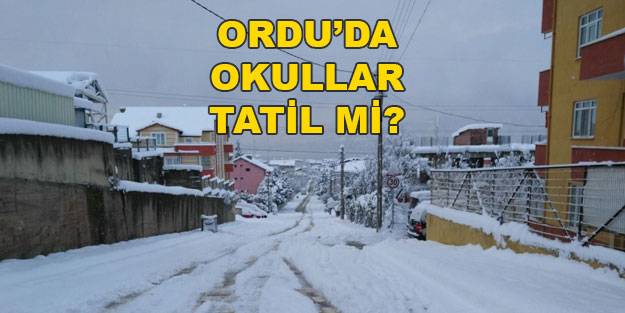 Ordu’da okular tatil mi? Gürgentepe ve Akkuş yarın okullar tatil mi?