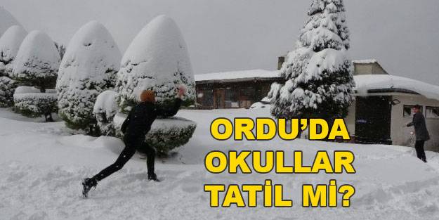Ordu’da okullar tatil mi? Bugün yarın Ordu’da okullar tatil mi? 22 Aralık Çarşamba bugün hangi ilçelerde okullar tatil?