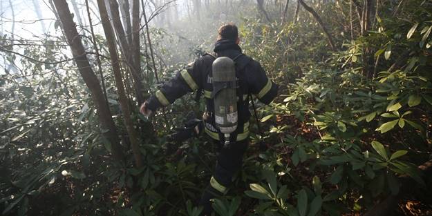 Ordu'da orman yangını!