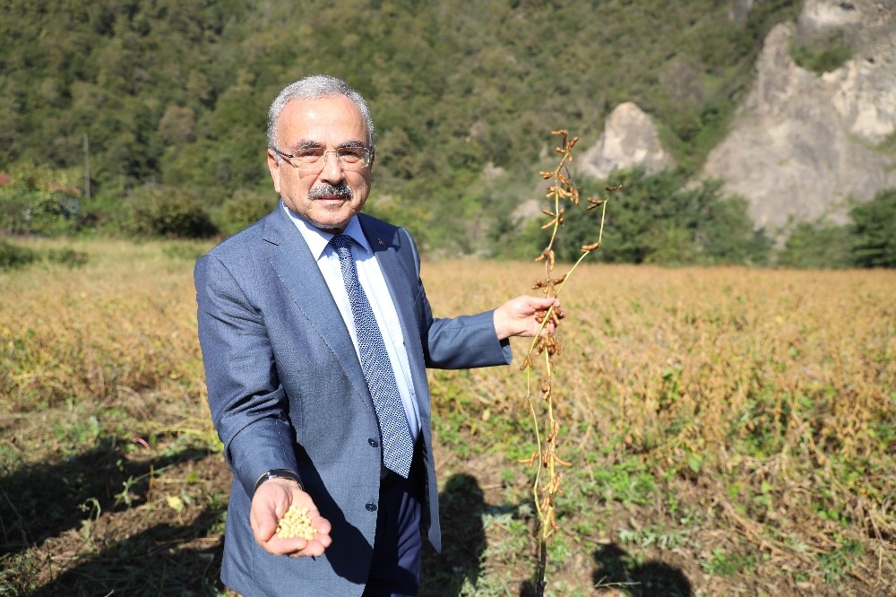 Ordu’da ‘sözleşmeli tarım’ atağı 