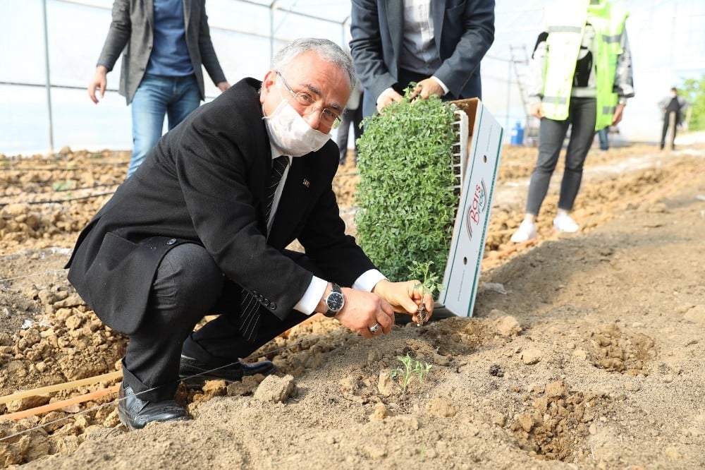 Ordu’da sözleşmeli tarım başlıyor 